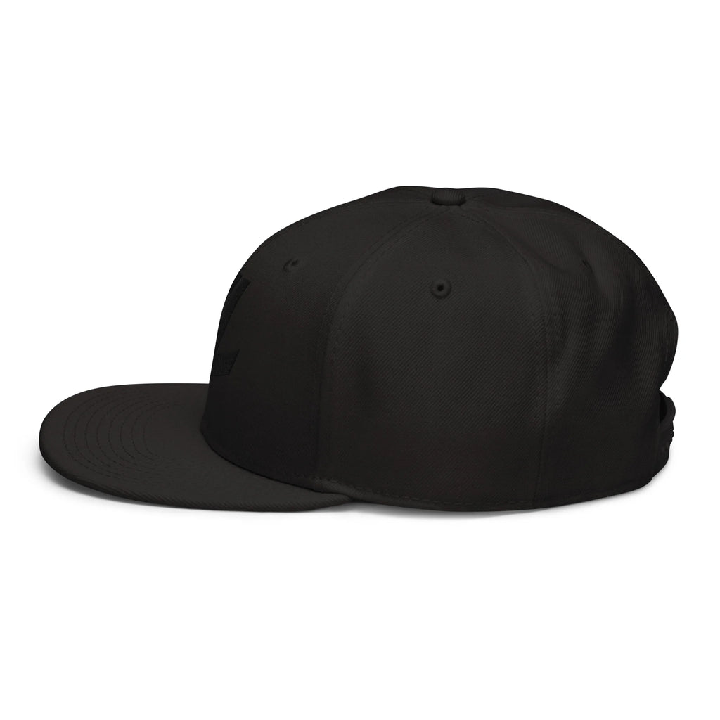 ShredLab Midnight Snapback